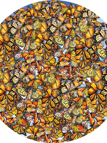 Produit Lori Schory - Monarch Frenzy Image