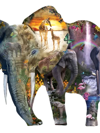 Produit Alixandra Mullins - Elephant Waterfall Image