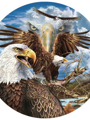 Produit Steven Michael Gardner - 13 Eagles Image
