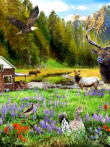 Produit Out in the Woods Image