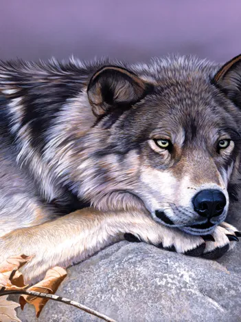 Produit Clinton Jammer - Time Out Image