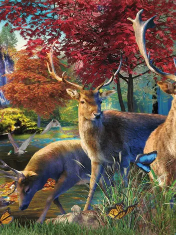 Produit Elk Pond Image