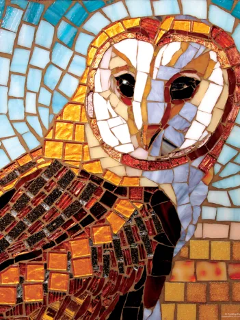 Produit Vitrail Chouette Image