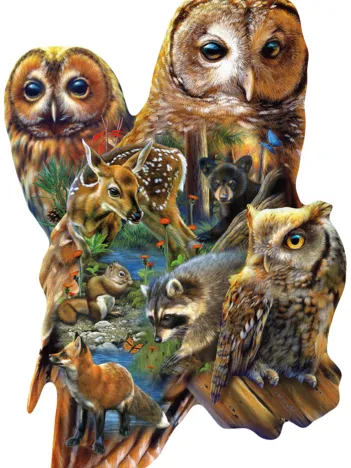 Produit Pièces XXL - Chouettes de la Forêt Image
