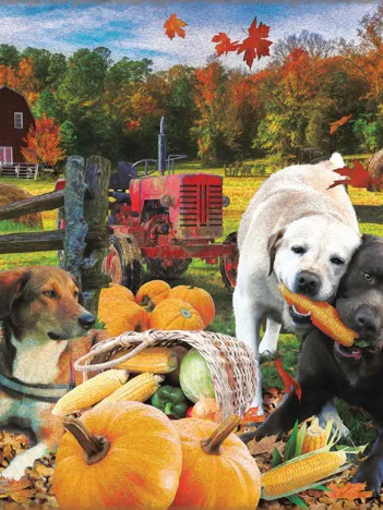 Produit Rafael Trujillo - Harvest Helpers Image