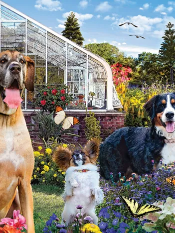 Produit Karen Burke - Conservatory Garden Canines Image