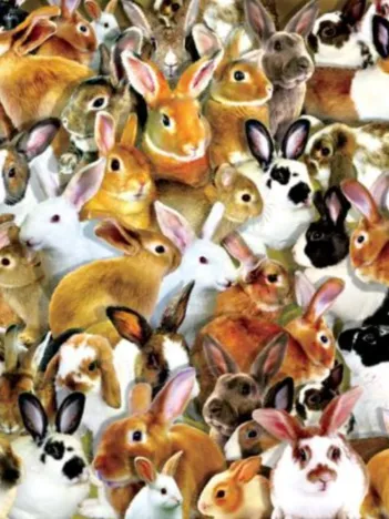 Produit Lori Schory - A Bundle of Bunnies Image