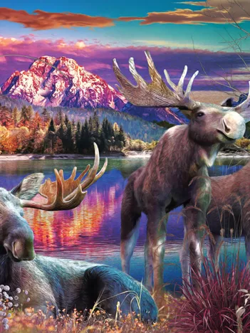 Produit Étang du Coucher du Soleil Image