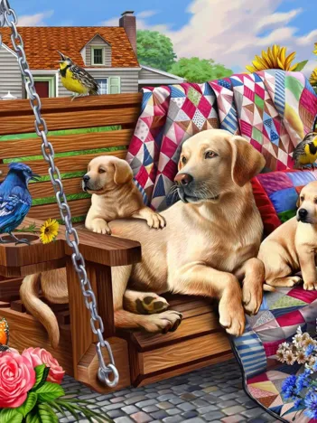 Produit Chiens et Courtepointes Image