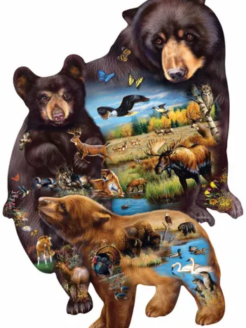 Produit Cynthie Fisher - Bear Family Adventure Image