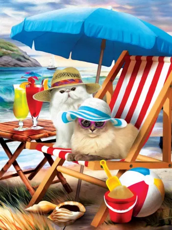 Produit Pièces XXL - Beach Cats Image