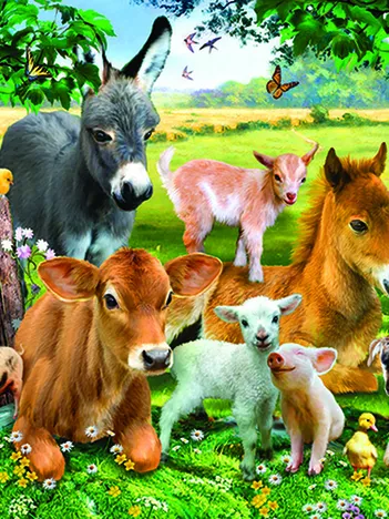 Produit Pièces XXL - On the Farmland Image