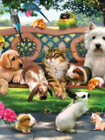Produit Pièces XXL - Pets in the Park Image