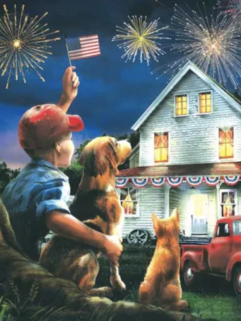 Produit Pièces XXL - Que Dieu bénisse les USA Image