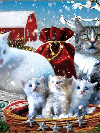 Produit Pièces XXL - Chatons d'hiver Image