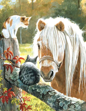 Produit Pièces XXL - Une Visite Image