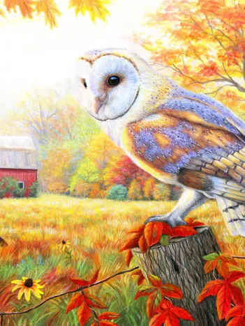 Produit Matinée à la Vieille Ferme Image