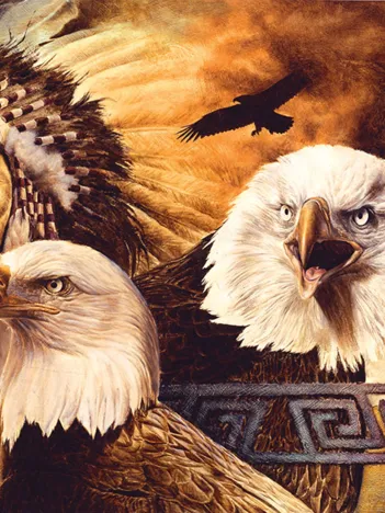 Produit Pièces XXL - Lakota Twilight Image