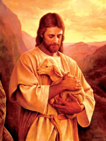 Produit Pièces XXL - Lost Lamb Image