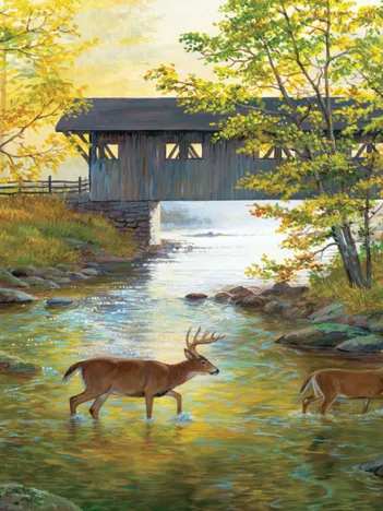 Produit Pièces XXL - Rock Creek Crossing Image