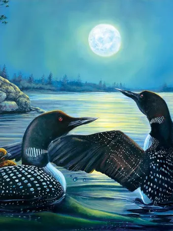 Produit Pièces XXL - Moonlight Serenade Image