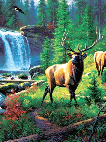 Produit Mark Keathley - Mountain Harmony Image