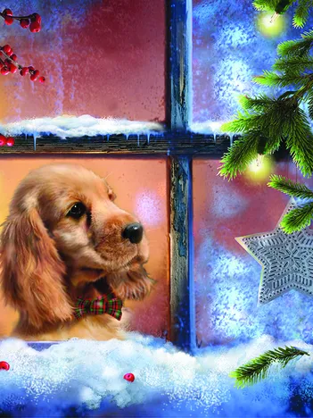 Produit Pièces XXL - Siège côté fenêtre Image