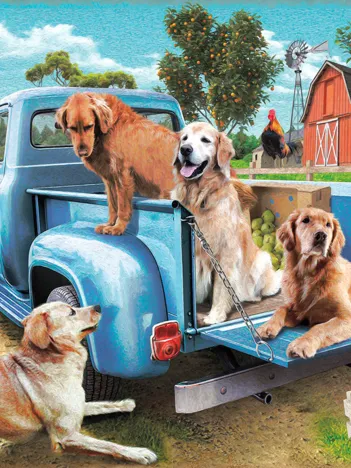 Produit Pièces XXL - Golden Summer Image