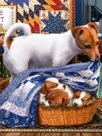 Produit Pièces XXL - Bonne Nuit les Petits Image