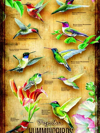 Produit Pièces XXL - Colibris d'Amérique du Nord Image