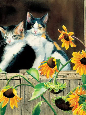 Produit Susan Bourdet - Kittens and Sunflowers Image