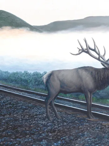 Produit Dan Christ - Elk Tracks Image