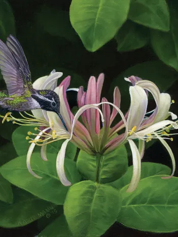 Produit Trouver du Nectar Image