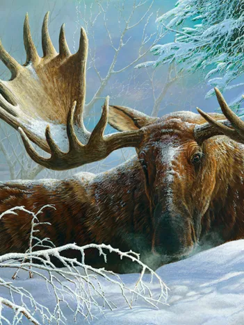 Produit Couverture d'Hiver Image