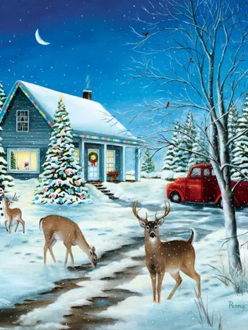 Produit L'Invité Surprise de Noël Image