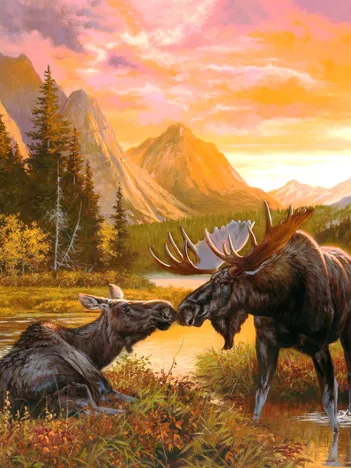 Produit Sérénité Sauvage Image