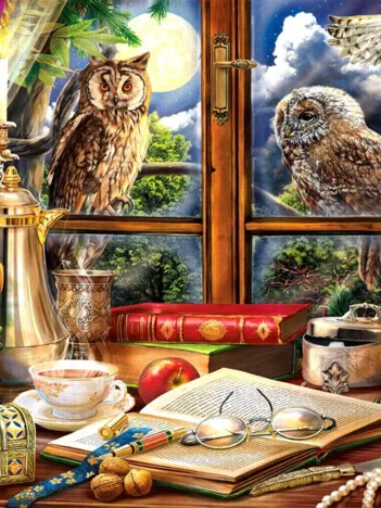 Produit Soirée avec les Hiboux Image