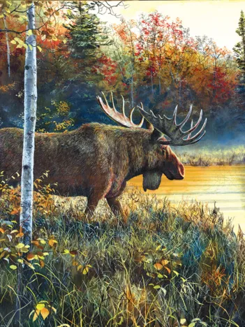 Produit Jim Hansel - Master of His Domain Image