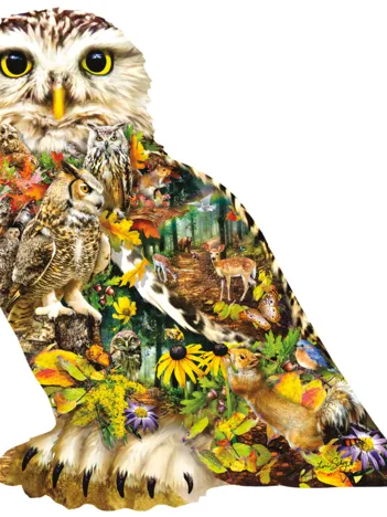 Produit Lori Schory - Forest Messenger Image