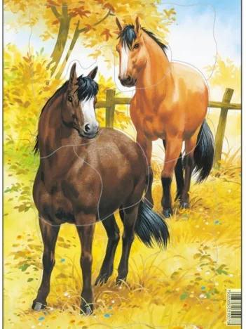 Produit Puzzle Cadre - Chevaux Image
