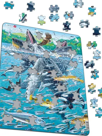 Produit Puzzle Cadre - Baleine à Bosses Image