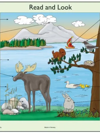 Produit 2 Puzzles Cadres - Apprendre l'Anglais : Read and Look 05-06 (en Anglais) Image