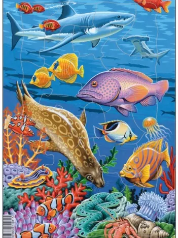 Produit Puzzle Cadre - Animaux Marins Image