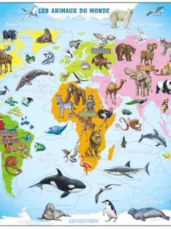 Produit Puzzle Cadre - Animaux du Monde Image