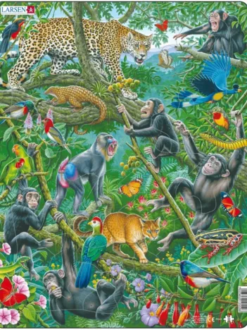 Produit Puzzle Cadre - Forêt Tropicale Africaine Image