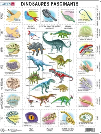 Produit Puzzle Cadre - Dinosaures Image