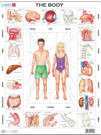 Produit Puzzle Cadre - The Body (en Anglais) Image