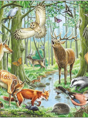 Produit Puzzle Cadre - Les Animaux de la Forêt Européenne Image