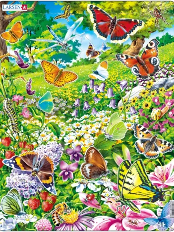 Produit Puzzle Cadre - Les Papillons Image