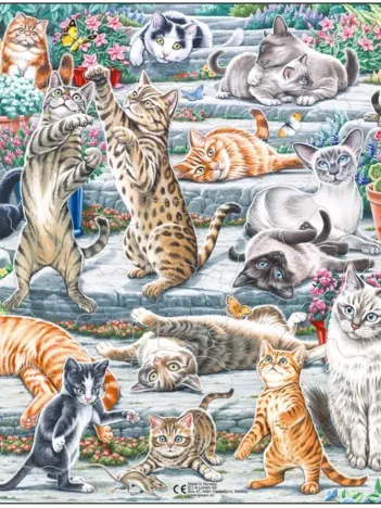 Produit Puzzle Cadre - Chats mignons Image